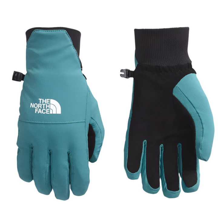 The North Face Women's Shelbe Raschel Etip Gloves