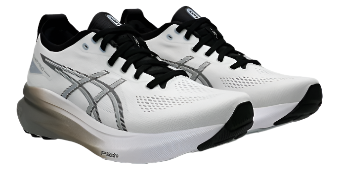 Asics Men's Gel-Kayano 31