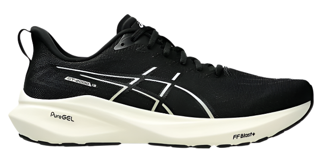 Asics Men's GT-2000 13