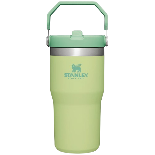 Stanley The IceFlow Flip Straw Tumbler 20 oz.