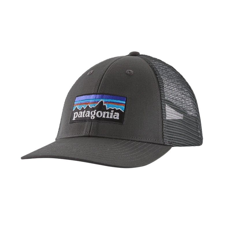 Patagonia P-6 Logo LoPro Trucker Hat