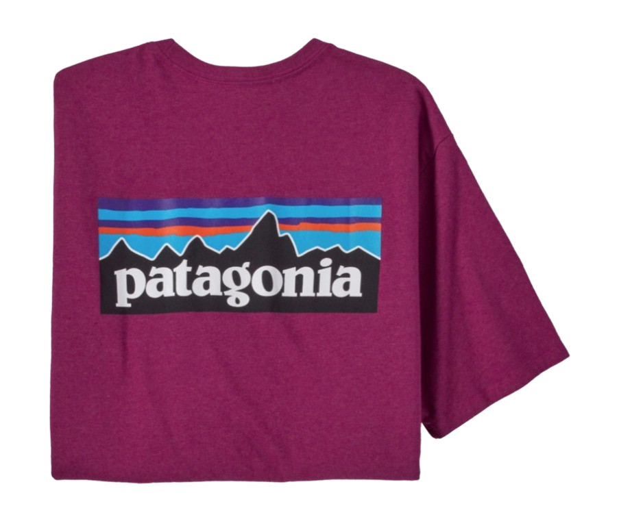 Patagonia Men's P-6 Logo Responsibili-Tee