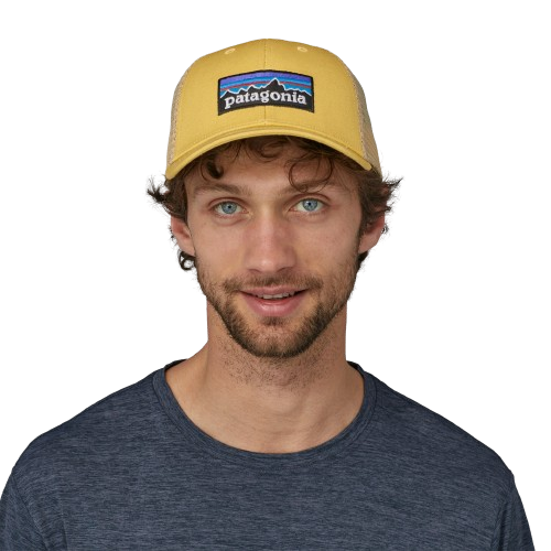 Patagonia P-6 Logo LoPro Trucker Hat